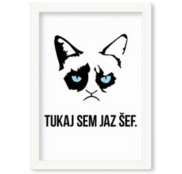 Grafika "Tukaj sem jaz šef"