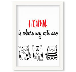 Grafika "Home is where my cat is"