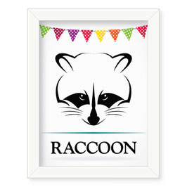 Grafika "Raccoon"