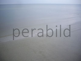 4330
