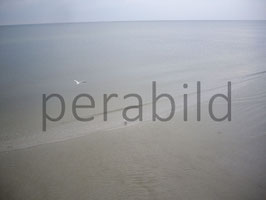 4331