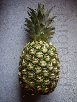 4480
