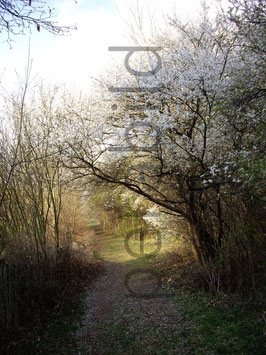 1065