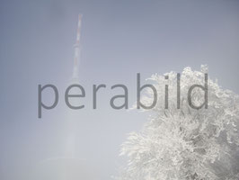 3703