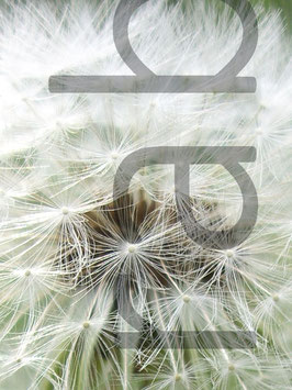 0117