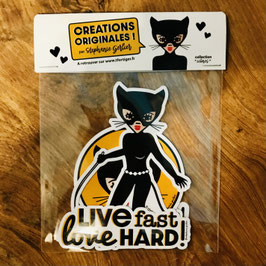 PACK STICKERS "Catwoman"
