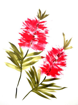 WORKSHOP - Big botanicals