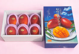 ＜商品番号③＞　　　　　　　　　　　　　　　　　　石垣島産完熟マンゴー5～6個入り（2ｋｇ）