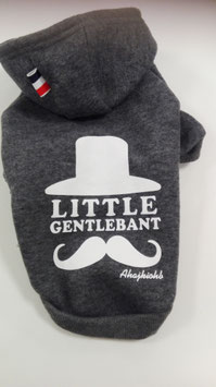 Sweater Little Gentlebant