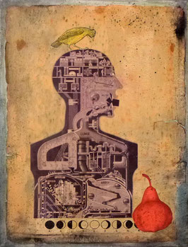 Collage 3