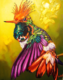 "COQUETA"