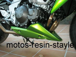 Puntale per Kawasaki z750r (cod. PU 1)