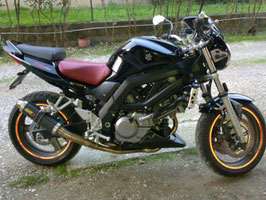 Puntale per Suzuki SV 650 - 2003->2010