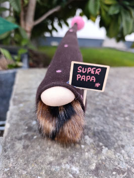 Gnome Super Papa