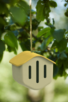 Maison à papillons