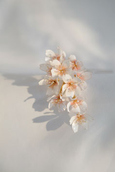 Haarnadel Kirschblüten "Little Cherries", mehrfarbig
