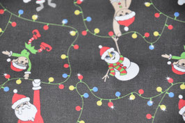 Weihnachten mit Weihnachtsmann