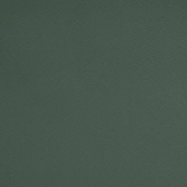 Canvas Tannengrün - Beschichtet - H267