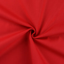 Canvas Uni - Rot - Q530