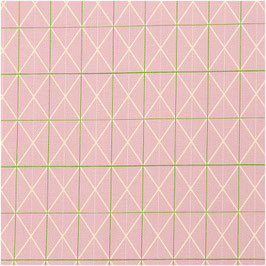 Canvas - Printed Rosa Raster Neon - RIC102