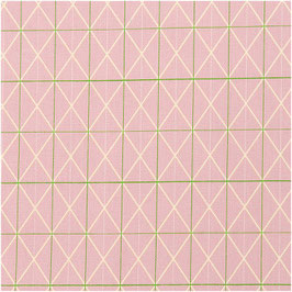 Canvas - Printed Rosa Raster Neon - RIC102