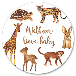 10 stickers 'welkom lieve baby'
