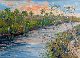 St.Sebastian River, 9x12, Original Oil Painting, Golden Gallery Frame,