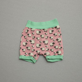 Shorts 104512
