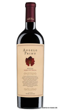 Angelo Primo 2021  Nero di Troja 12 Monate Barrique