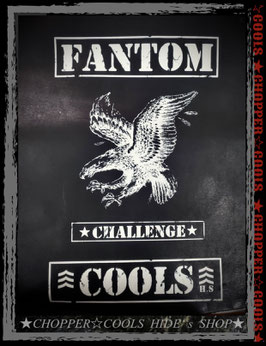 ★チームFANTOM☆COOLS 牛革ワッペンセット★