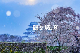 鶴ヶ城⑧