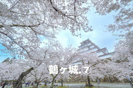 鶴ヶ城⑦