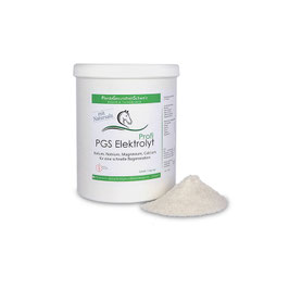 PGS-Elektrolyt Profi mit Natursalz