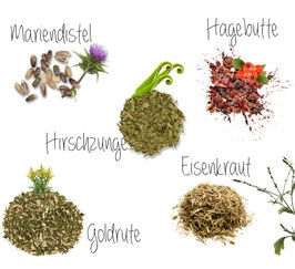 PGS-HerbstKraft Kräutermischung