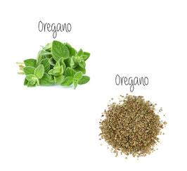 Oregano gerebelt