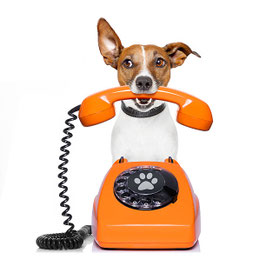 Telefon-/Onlineberatung 15 Minuten nach schriftlicher Terminvereinbarung