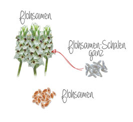 Flohsamenschalen