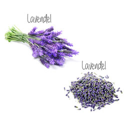 Lavendel