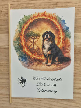 Beilagekarte „Für immer im Herzen“ – Tier-Erinnerung (Berner)