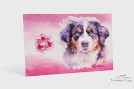 Postkarte mit rötlichem Hintergrund - Berner Sennenhund