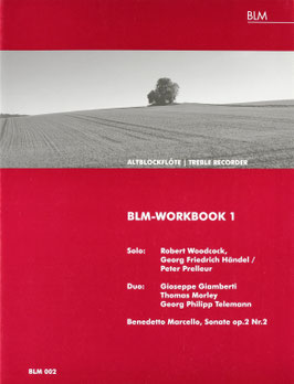 BLM-Workbook 1