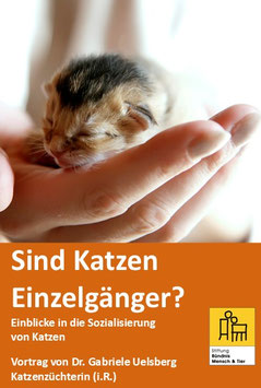 Vortrag "Sind Katzen Einzelgänger?"/ 7.11.2026