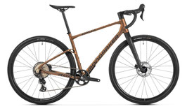 Mondraker Arid S