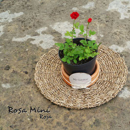ROSA MINI