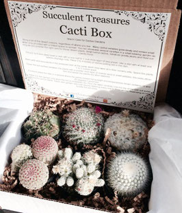 CACTI BOX