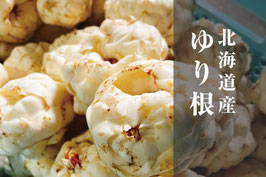 十勝産 ゆり根