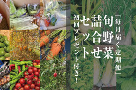 『毎月届く定期便』 旬野菜詰合せセット  初回プレゼント付き！