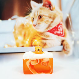 Purrfect