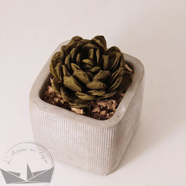 Succulente pot gris