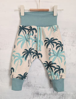 cooli Hösli ALOHA Palms 68